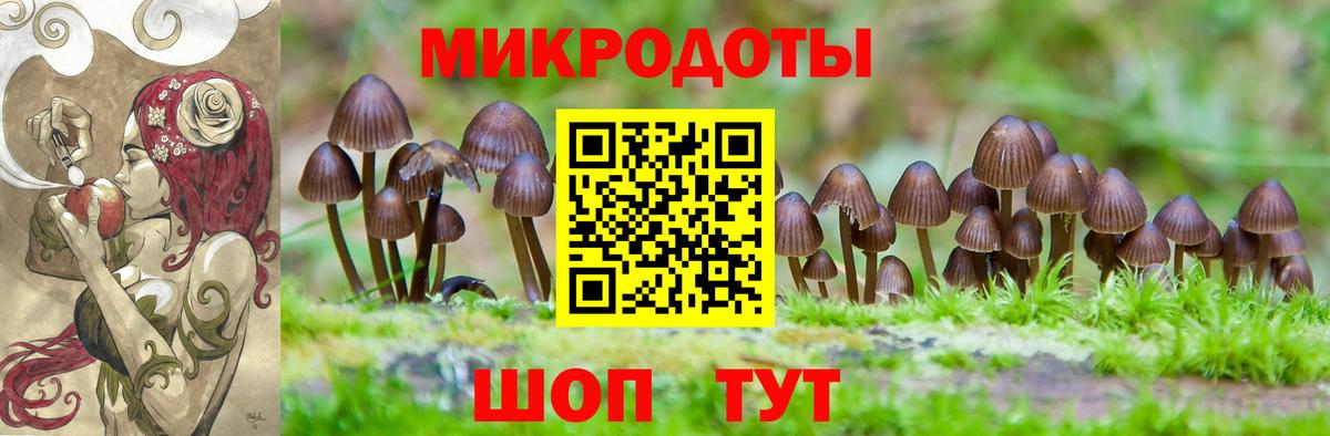 Галлюциногенные грибы мицелий Зима